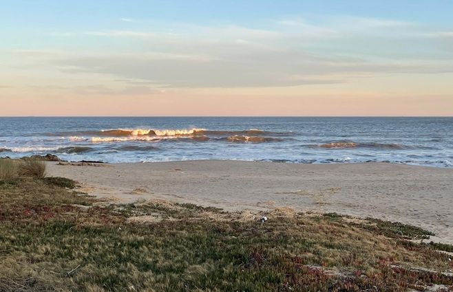 WhatsApp Image 2022-06-26 at 9.31.28 AM.jpeg