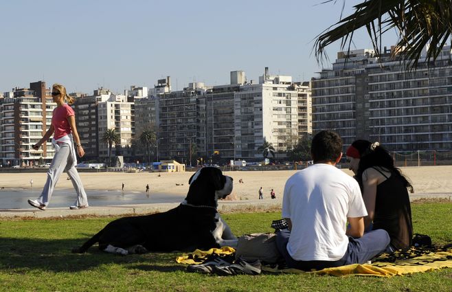 tiempo templado primavera rambla.jpg