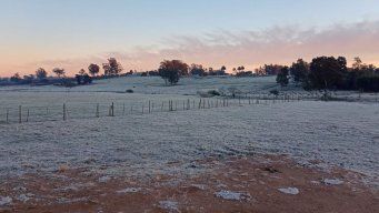 Foto de un seguidor, enviada a Silvia Techera, periodista de Subrayado en Cerro Largo.
