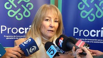 cosse sobre personas en la calle: siempre vamos a estar llegando tarde para las cosas mas urgentes, lo importante es llegar