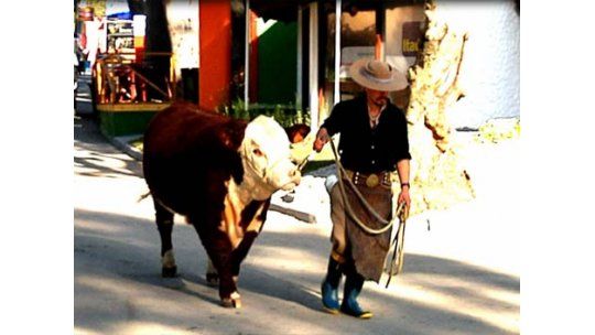 Para todos los gustos: las actividades del sábado en la ExpoPrado