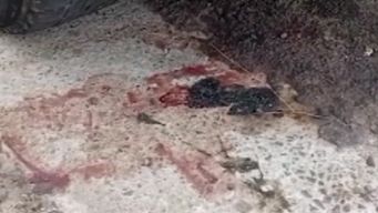 padre de beba que nacio en la calle denuncia malos tratos y discriminacion en hospital de artigas