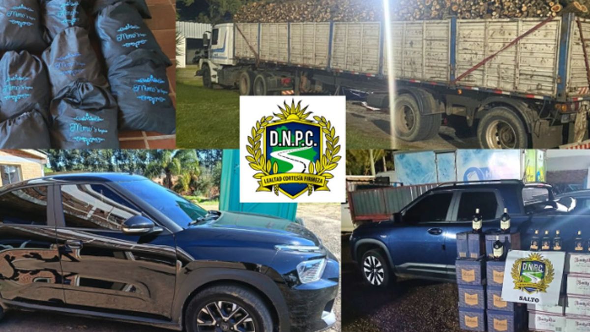 Caminera incautó mercadería de contrabando y vehículos por m