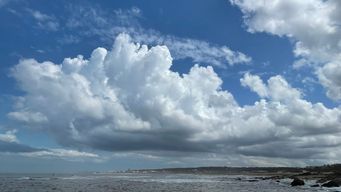 de frio a templado, con nieblas y neblinas pero sin lluvias