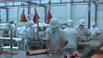 China detectó restos de medicamento veterinario en carne uruguaya y suspendió importaciones de un frigorífico. Foto: archivo.