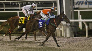 Subrayado | MICRO TURF 2 D JUL