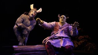 shrek, el musical exito en broadway, llega en vacaciones de invierno a uruguay