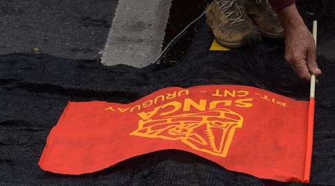 bandera-pitcnt-logo-foco-uy.jpg