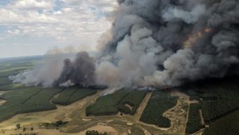 son 46 los incendios forestales registrados este miercoles en area metropolitana