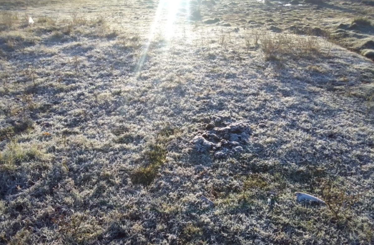 "Mucho cuidado": Nubel Cisneros anunció "importantes nieblas y neblinas", y ola de frío polar el jueves