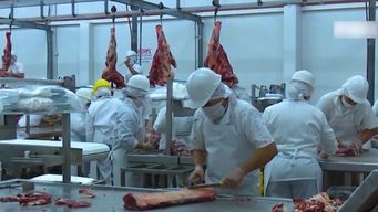 la industria frigorifica mueve mas del 5% del pib; reclama habilitar importacion de ganado