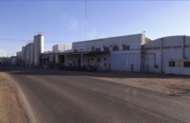 calcar-planta-leche.jpg