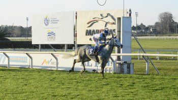 Subrayado | MICRO TURF 23 D AGO