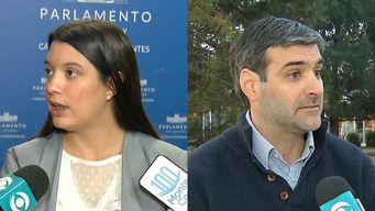diputada del fa elevo pedido de informes por compra de camaras de vigilancia en periodo anterior; martinelli respondio