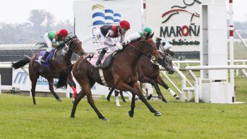 Subrayado | MICRO TURF 11 D JUN