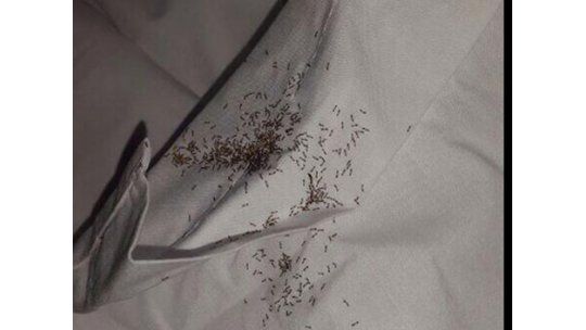 Mirá el penal que tuvo que atajar Muslera en la concentración