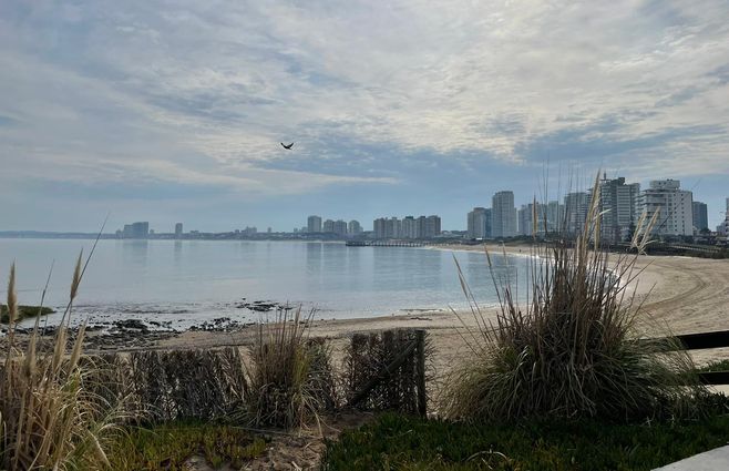 WhatsApp Image 2022-06-26 at 9.31.43 AM (1).jpeg