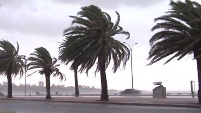 se mantiene alerta amarilla por vientos fuertes para toda la costa sur del pais