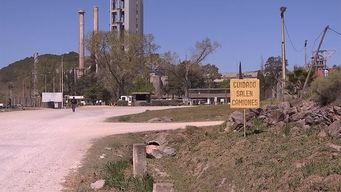 cemento: un negocio que ancap acumula usd 760 millones en perdidas desde 2000