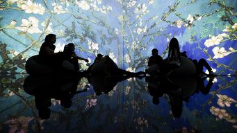 primera muestra de arte inmersivo llego a uruguay y se podra ver hasta 23 de diciembre