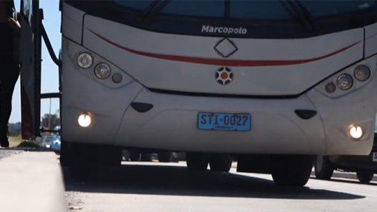 bus
