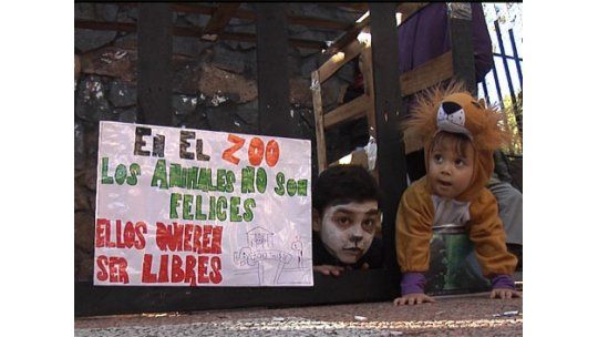 Activistas reclamaron el cierre del zoológico de Villa Dolores