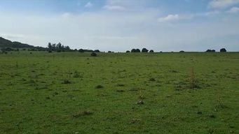 cinco anos de prision para el dueno del campo que mato a un joven de 18 anos en maldonado