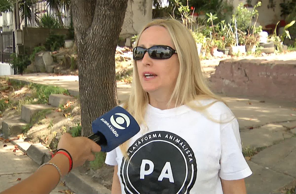 Dos perros mueren por el impacto de la pirotecnia en Uruguay