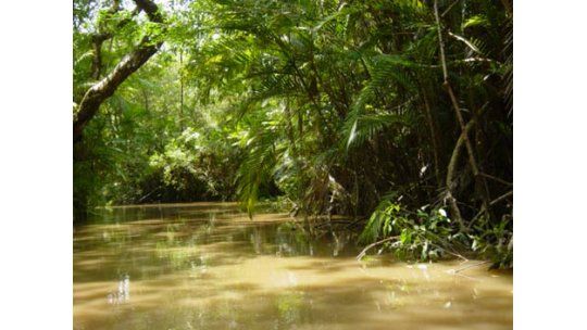 Descubren río subterráneo que corre debajo del Amazonas