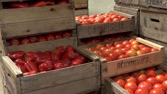 el intenso frio provocara suba de precios verduras, aseguran desde la uam