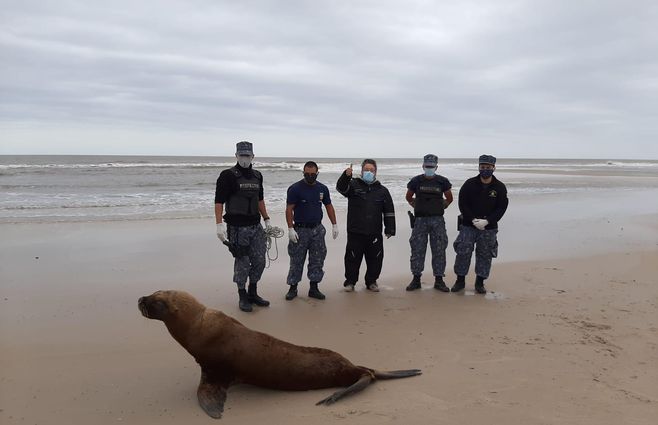 WhatsApp Image 2020-04-28 at 09.09.35.jpeg