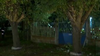 murio un joven de 23 anos tras caer una palmera sobre su casa en paso de la arena