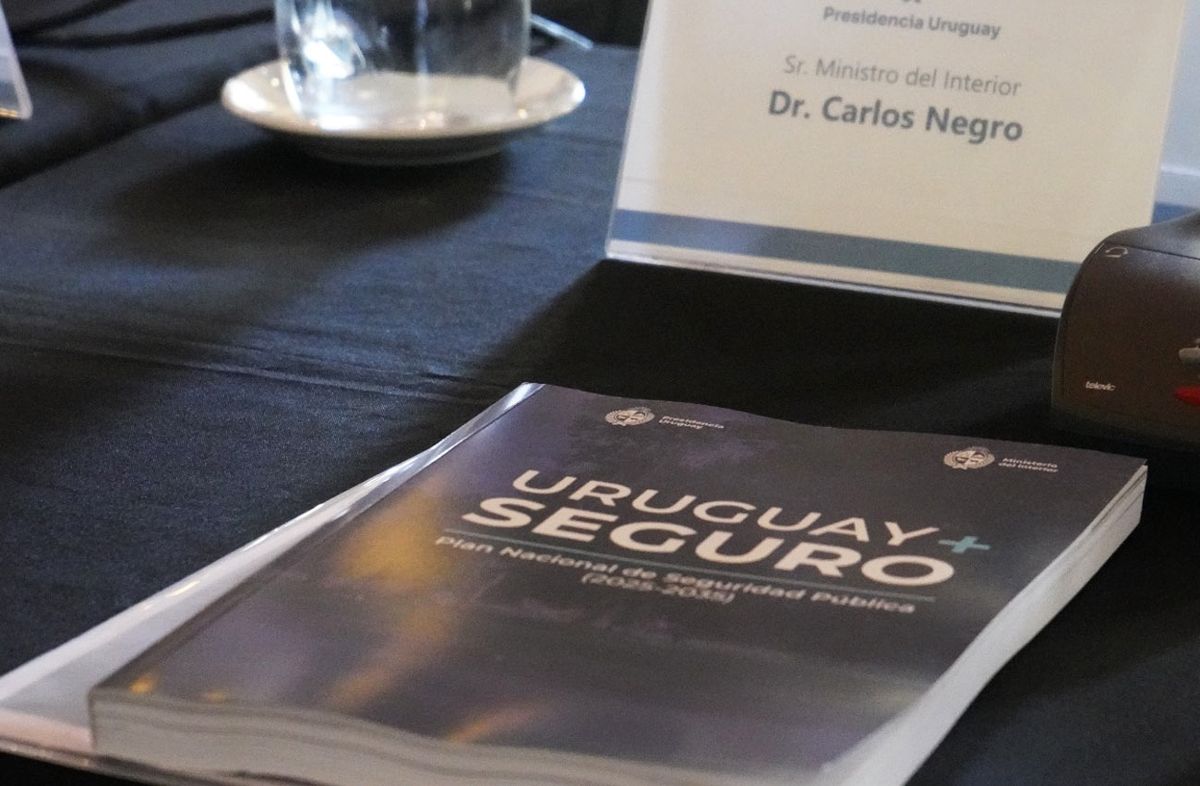 Los siete ejes del plan de seguridad que el ministro Carlos Negro presenta en el Consejo de Ministros