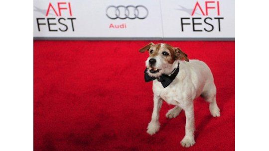 Uggie, el perro ganador del Oscar, se retira del mundo artístico