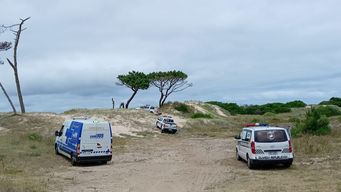 hombre subio a un arbol y reclama presencia de su pareja para bajar