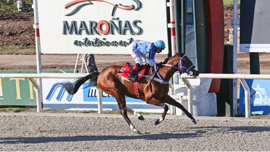 Financial Aid hizo historia con 15 victorias y récord nacional