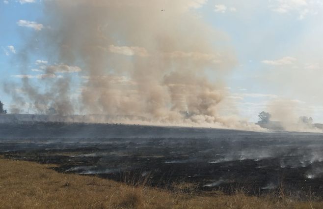 Intenso humo por incendio de campo causó choque entre dos vehículos en ruta 14, Rocha