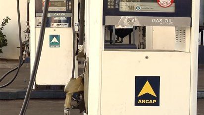 mundo afro considera insuficientes las penas vigentes para casos de racismo