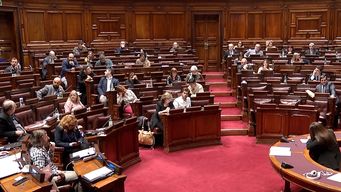 camara de diputados vota cambios en ley de negociacion colectiva tras observaciones de oit