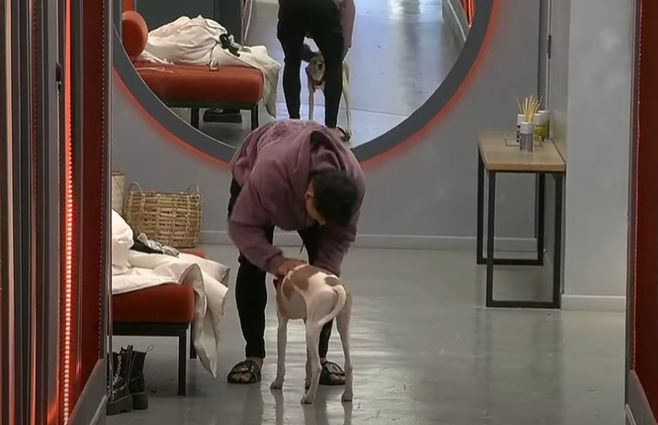 Arturo elige a Martín entre todos los jugadores de Gran Hermano.&nbsp;