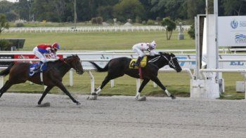 Subrayado | MICRO TURF 4 D ABR