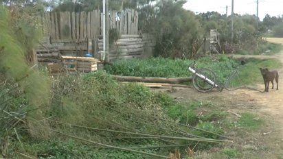 hallaron un craneo en arachania e investigan si es de un joven desaparecido en 2017