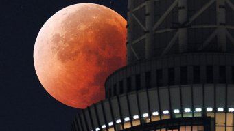 Foto: AFP. La Luna aparece detrás del Tokyo Skytree, Japón, durante el eclipse lunar total.