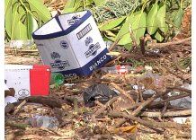 El Punto Verde de la Intendencia que se transformó en basural