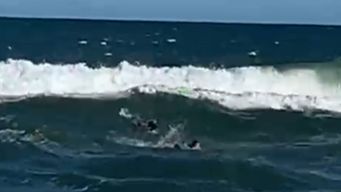 rocha: hombre que se estaba ahogando fue rescatado por policia con tablas de surf