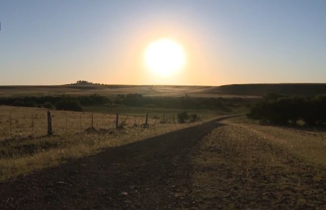 campo-con-sol-en-el-horizonte.jpg