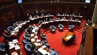 Senado debate la situación de Venezuela. Foto: FocoUy