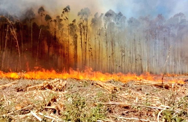 incendio-Algrota-2023.jpg