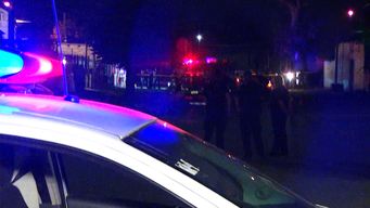 hombre degollado en las piedras: las pericias confirman que fue homicidio y que no murio atacado por un perro