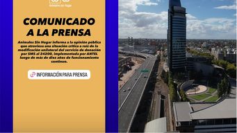 antel respondio a animales sin hogar por denuncia de cambios en el sistema de donacion por sms